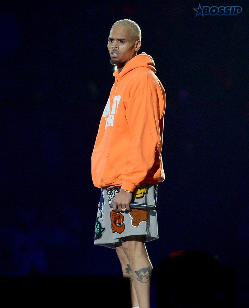 Chris Brown-Miami-WENN