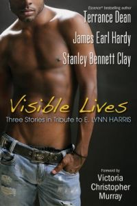 Visible Lives