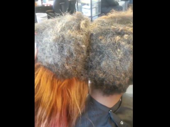 yuckweave