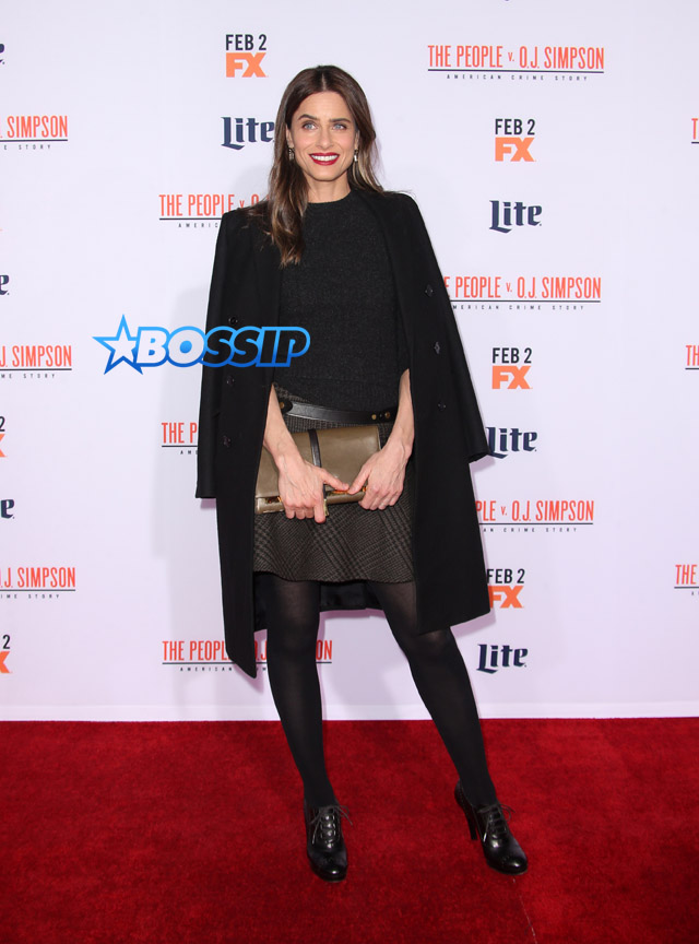 Amanda Peete WENN FX's 'American Crime Story - The People V. O.J. Simpson' at Westwood Village Theatre.