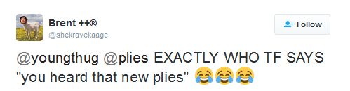 newplies