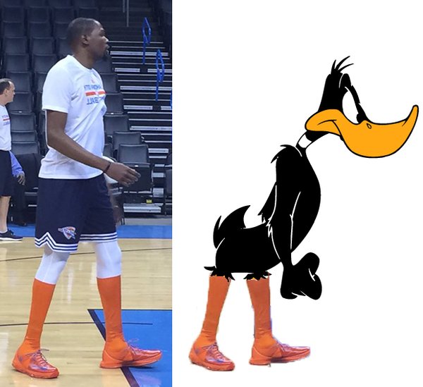 durantduck