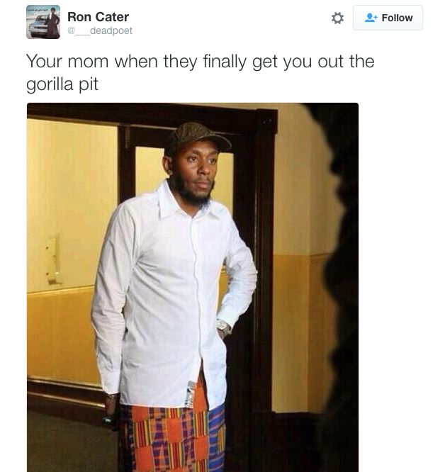 gorilla mom 13