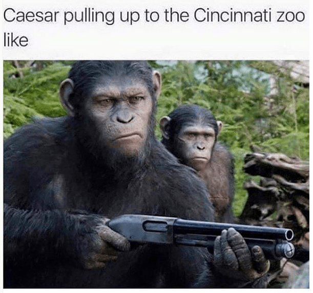caesarlike
