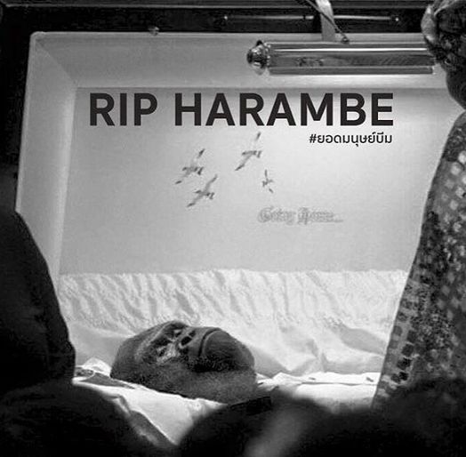 casket