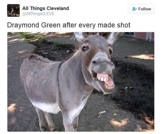 everyshot