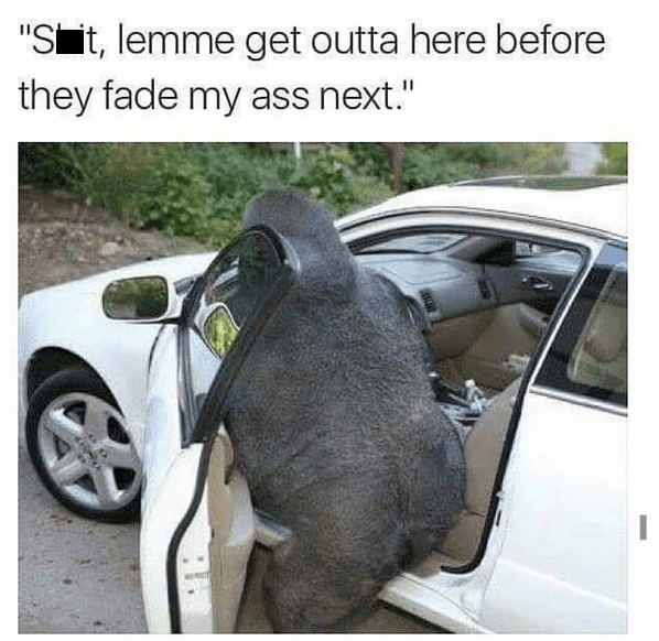 fadenext