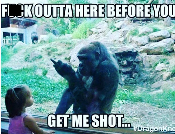getmeshot