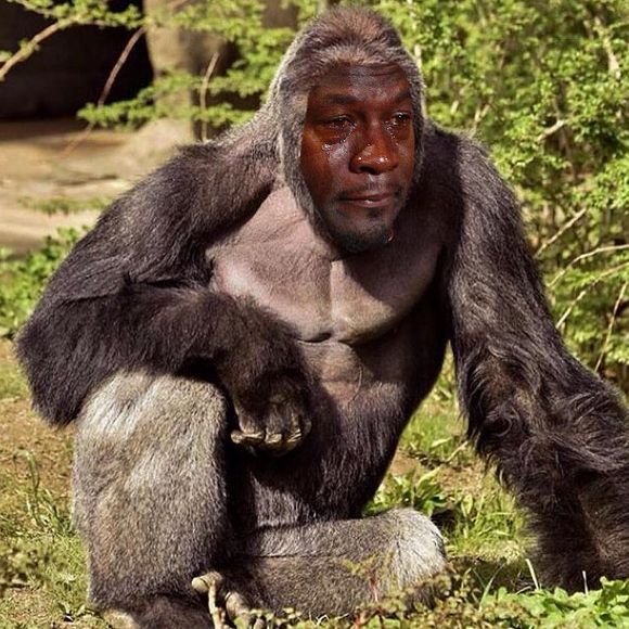 sadgorilla