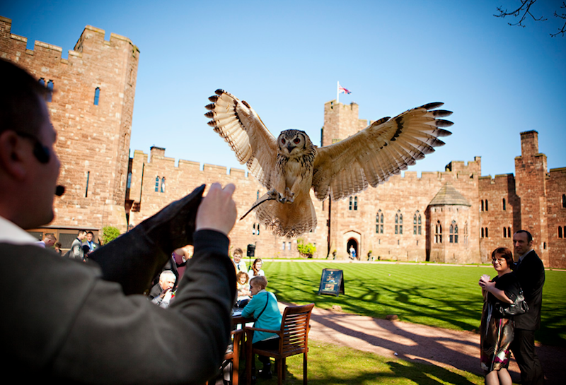 Peckforton Castle 16