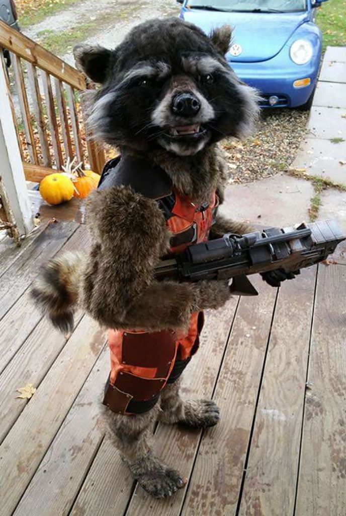 childcostume
