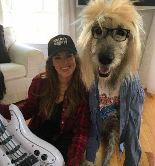 waynesworld