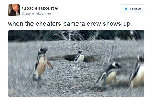 cheaterscamera