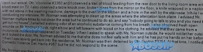 kyle-norman-police-report