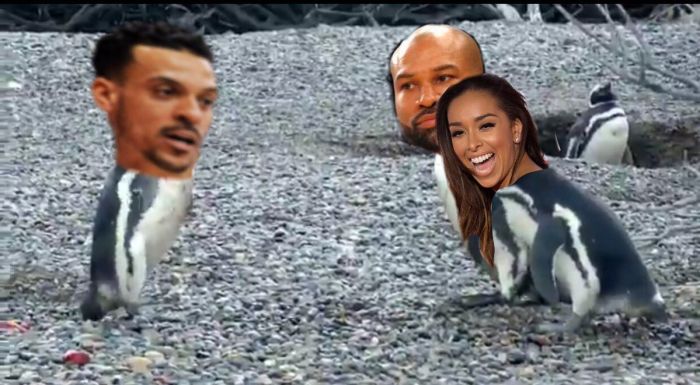 mattbarnes