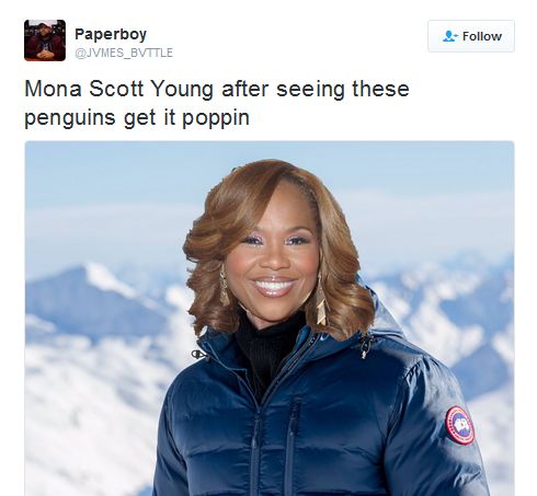 monascott
