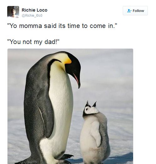 notdad