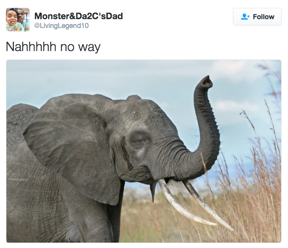 cryelephant