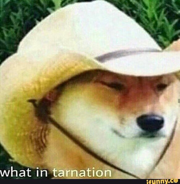 tarnation