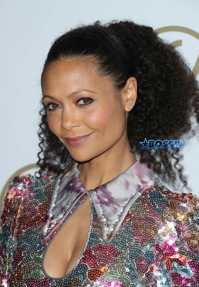 28th Annual Producers Guild Awards at The Beverly Hilton Hotel - Arrivals Featuring: Thandie Newton Where: Beverly Hills, California, United States When: 28 Jan 2017 Credit: FayesVision/WENN.com
