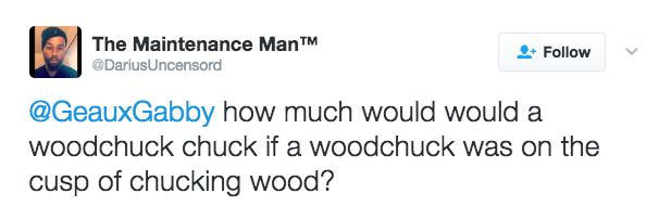 woodchuck