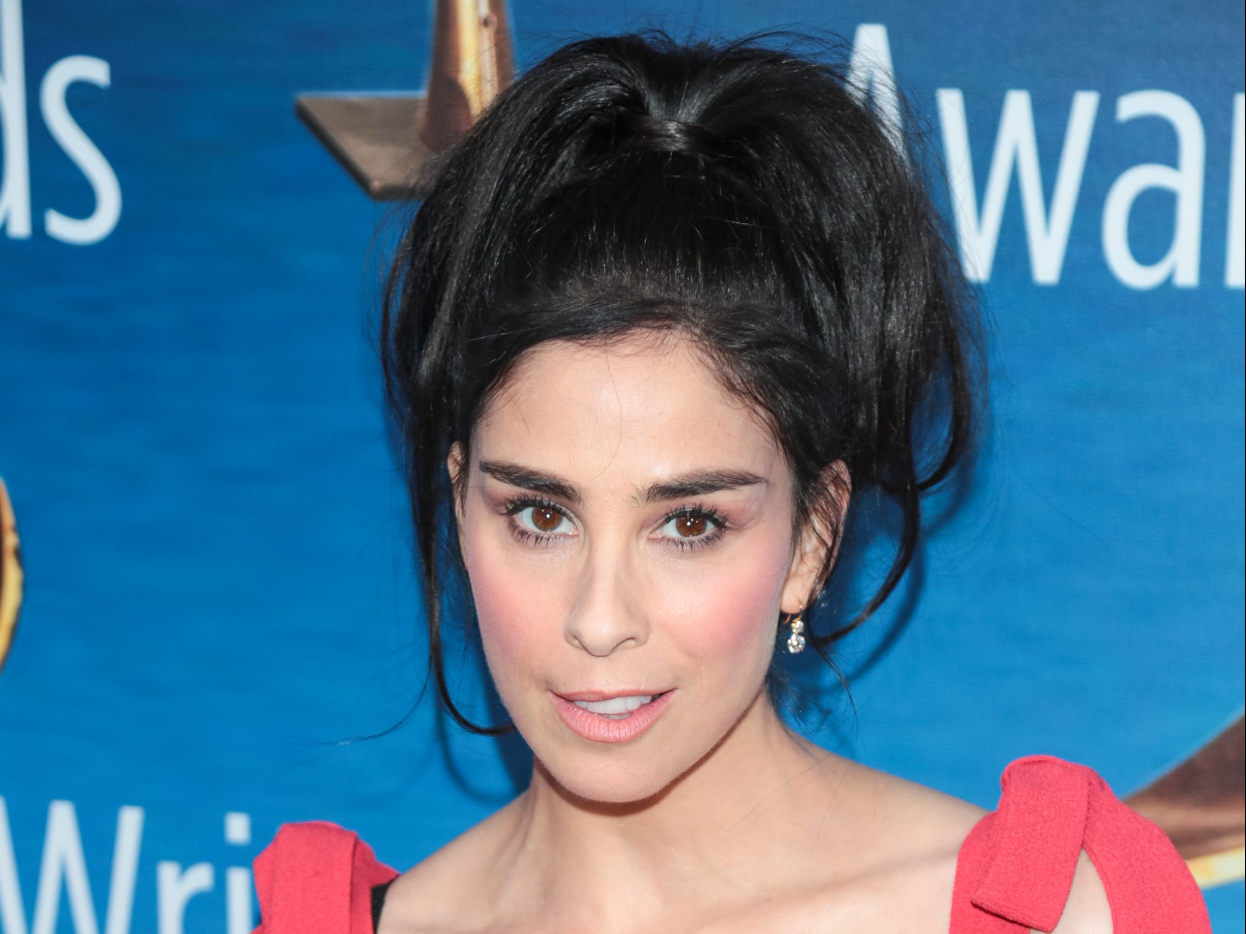 sarah silverman let louis c.k. masturbate