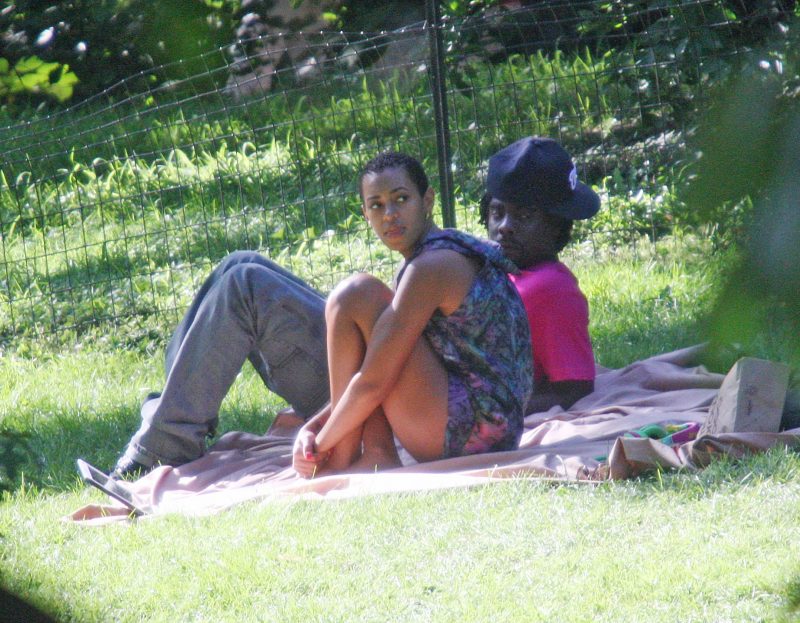 Solange Knowles Wale Folarin blanket Central Park
