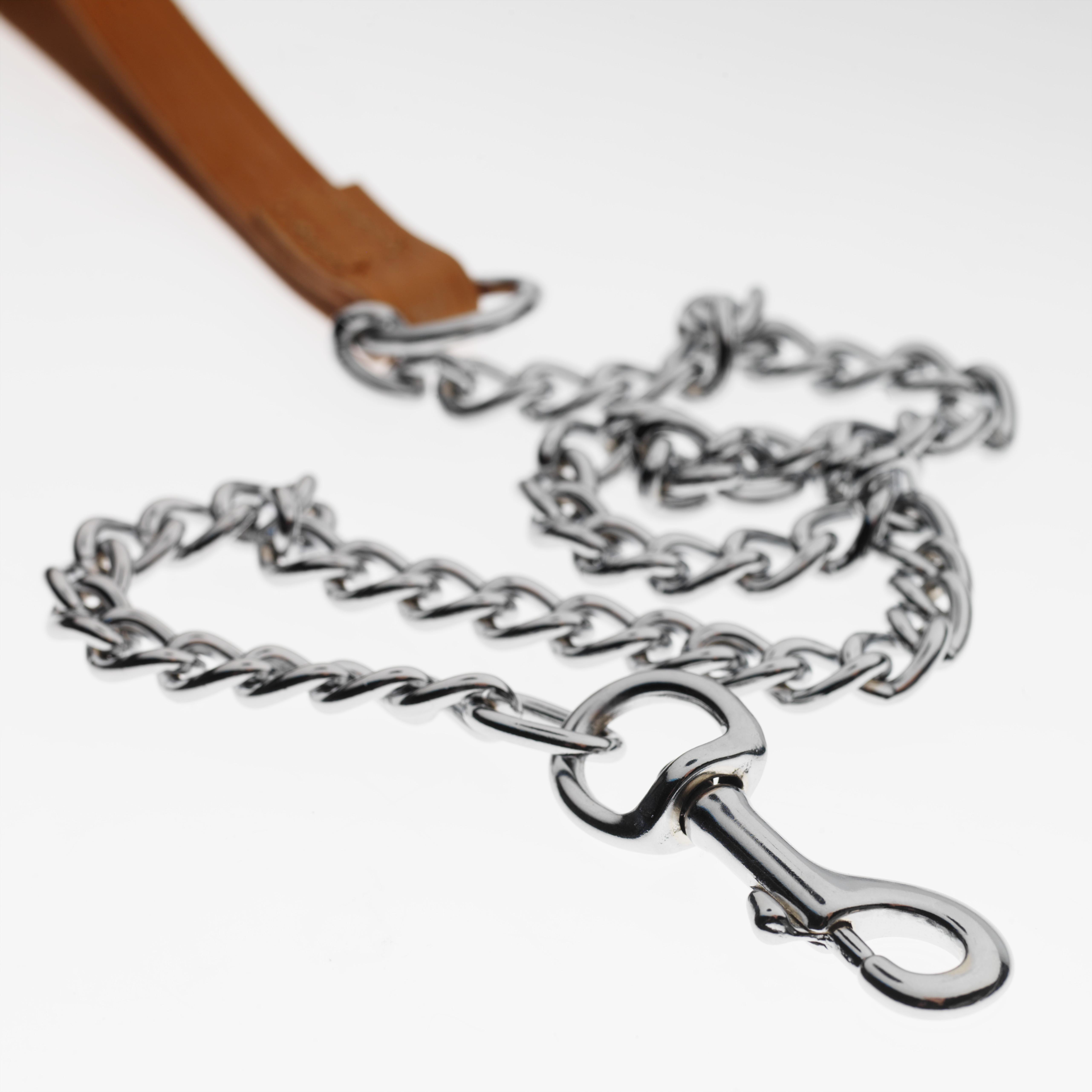 Close-up of dog leash