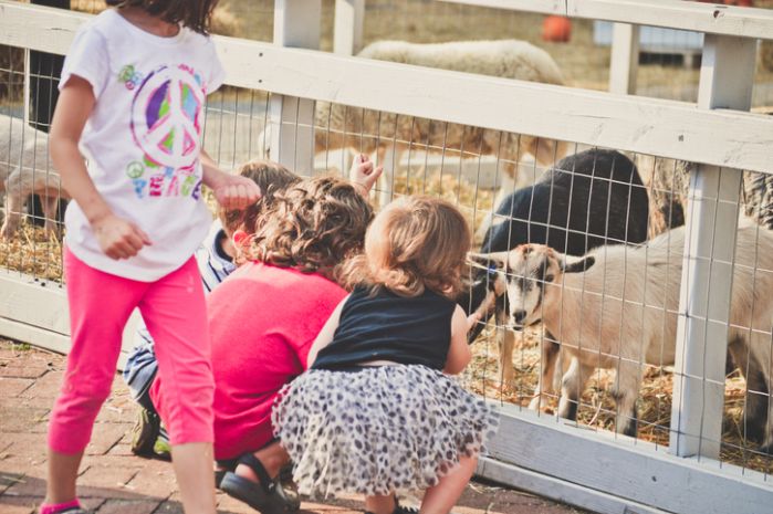 Children at a farm.