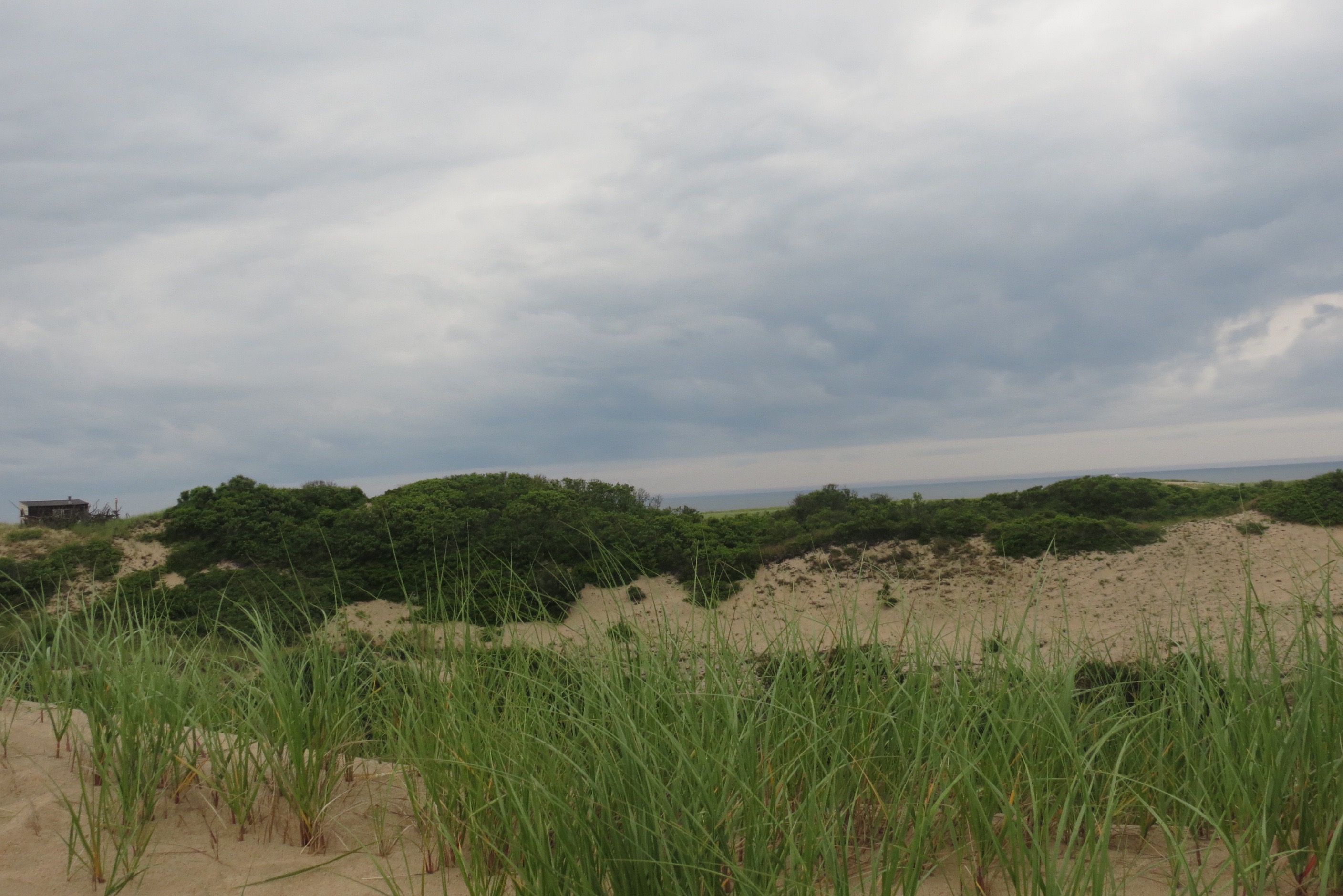 Cape Cod National Seashore