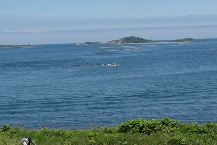 Boston Harbor Islands