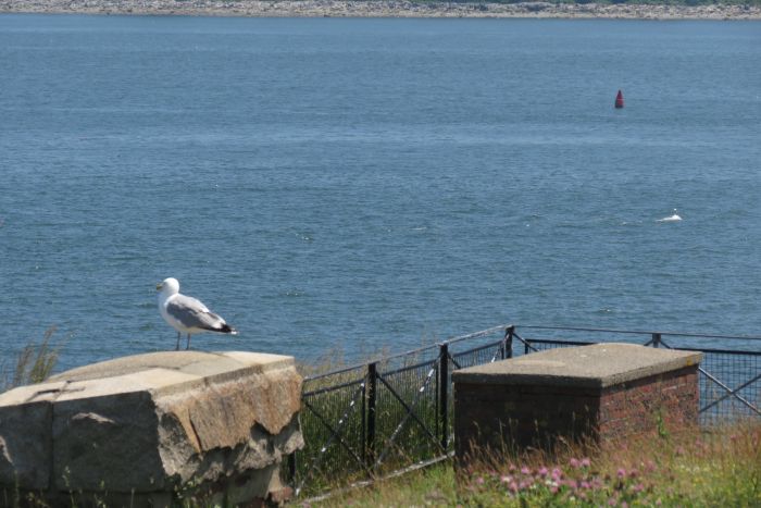 Boston Harbor Islands