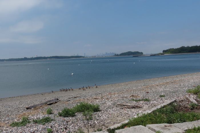 Boston Harbor Islands