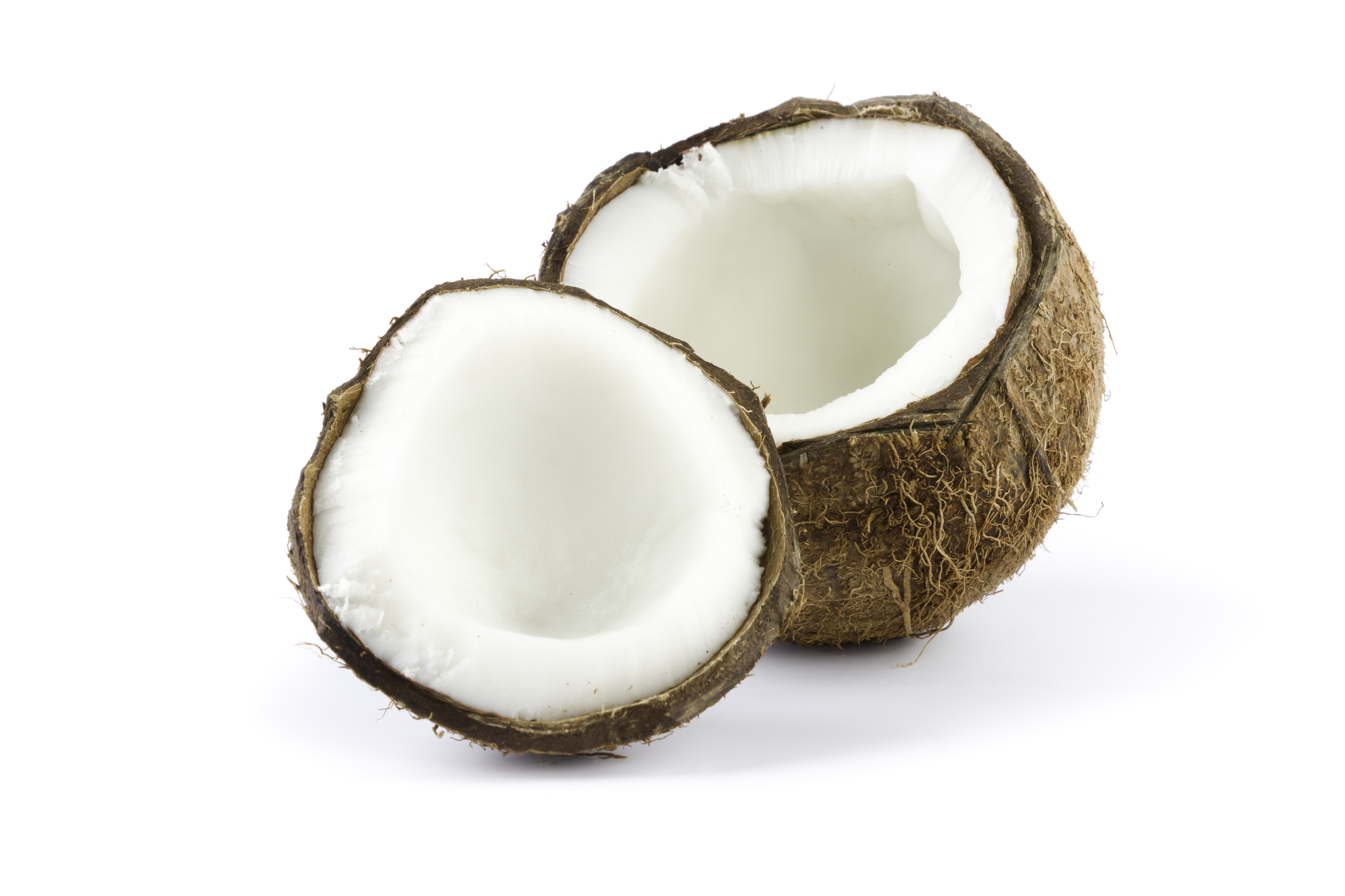 coconuts