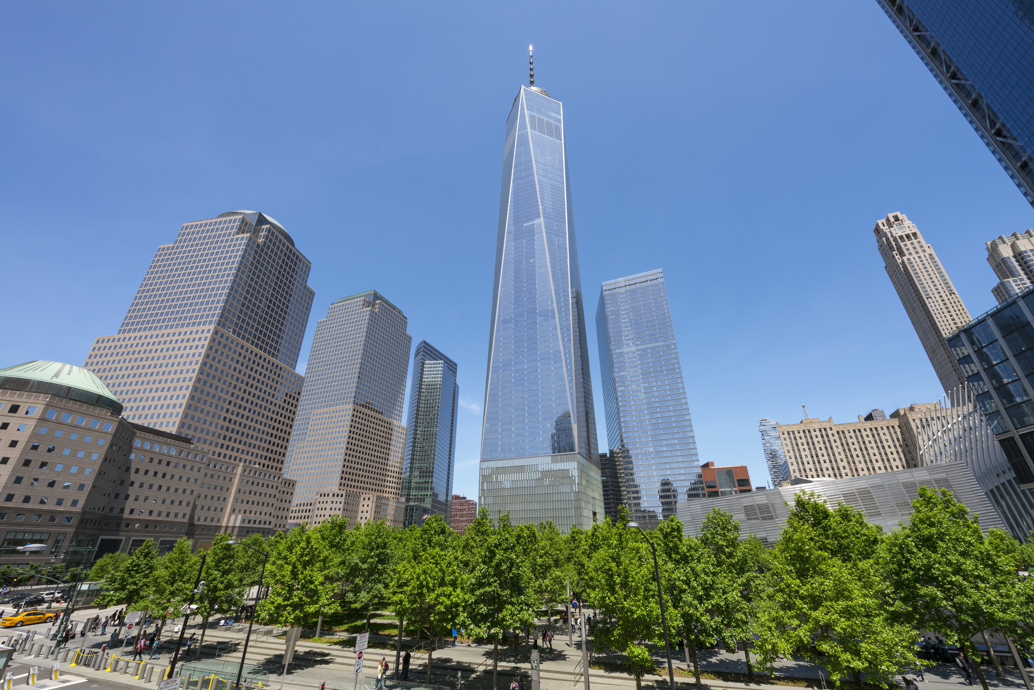 Fresh green trees grow and surround the 9/11 Memorial in spring at Lower Manhattan New York. One World Trade Center and the other lower Manhattan skyscrapers stand behind the 9/11 Memorial.
