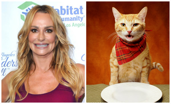 Taylor Armstrong & cat