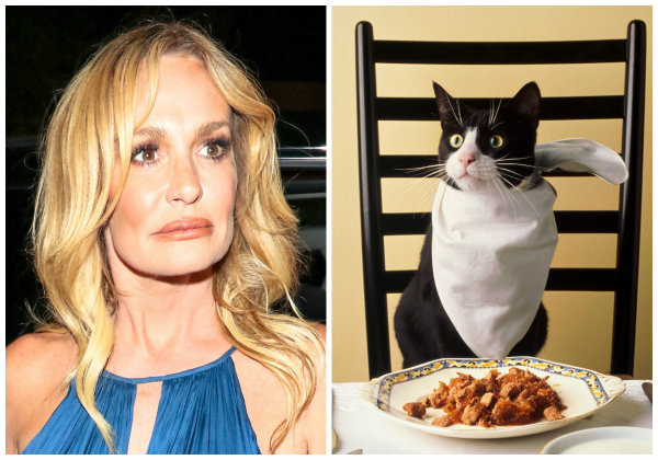 Taylor Armstrong & cat