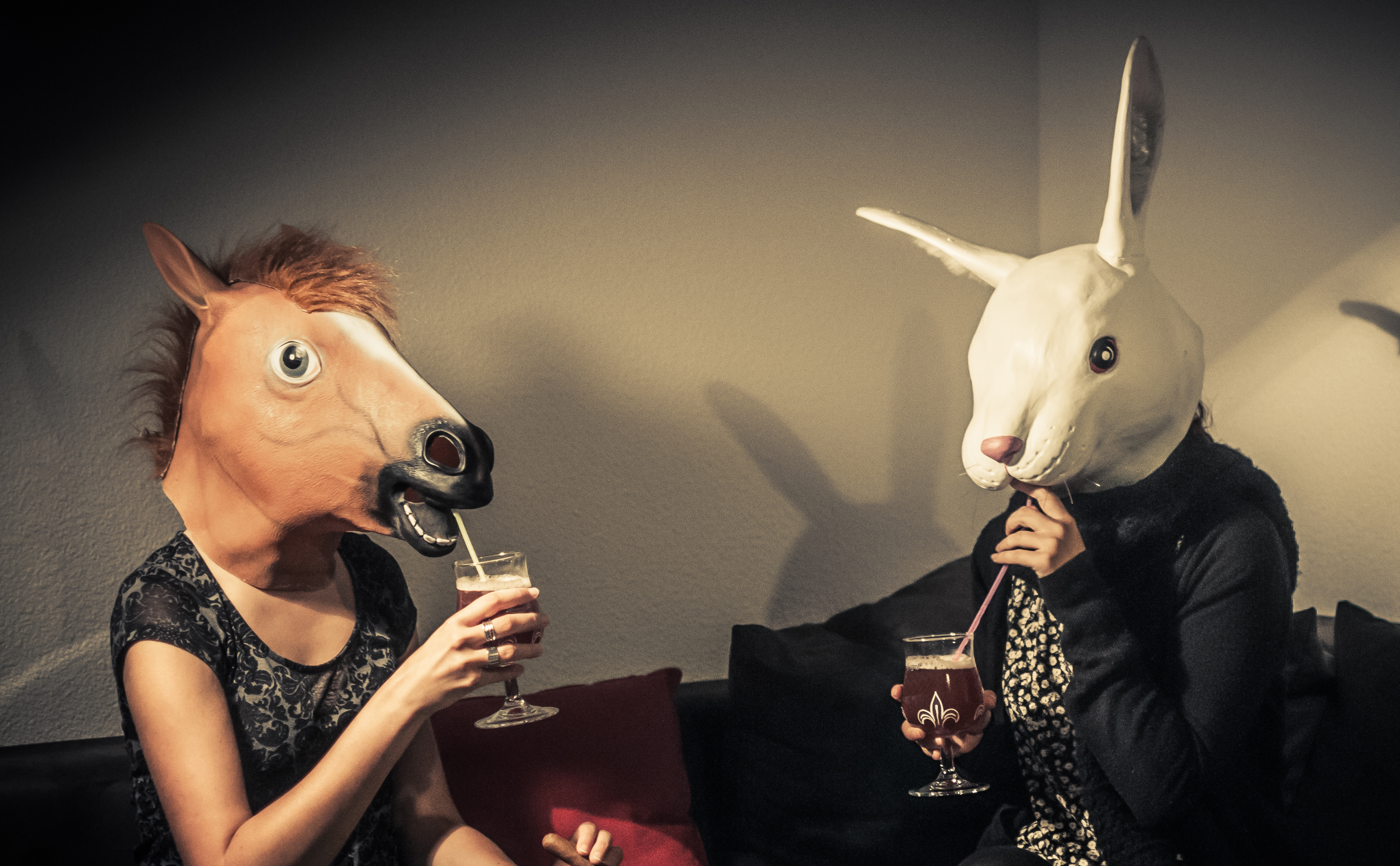 Rabbit and horse drinking together - stock photo