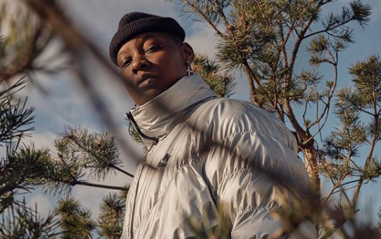 The Last Artful Dodger assets