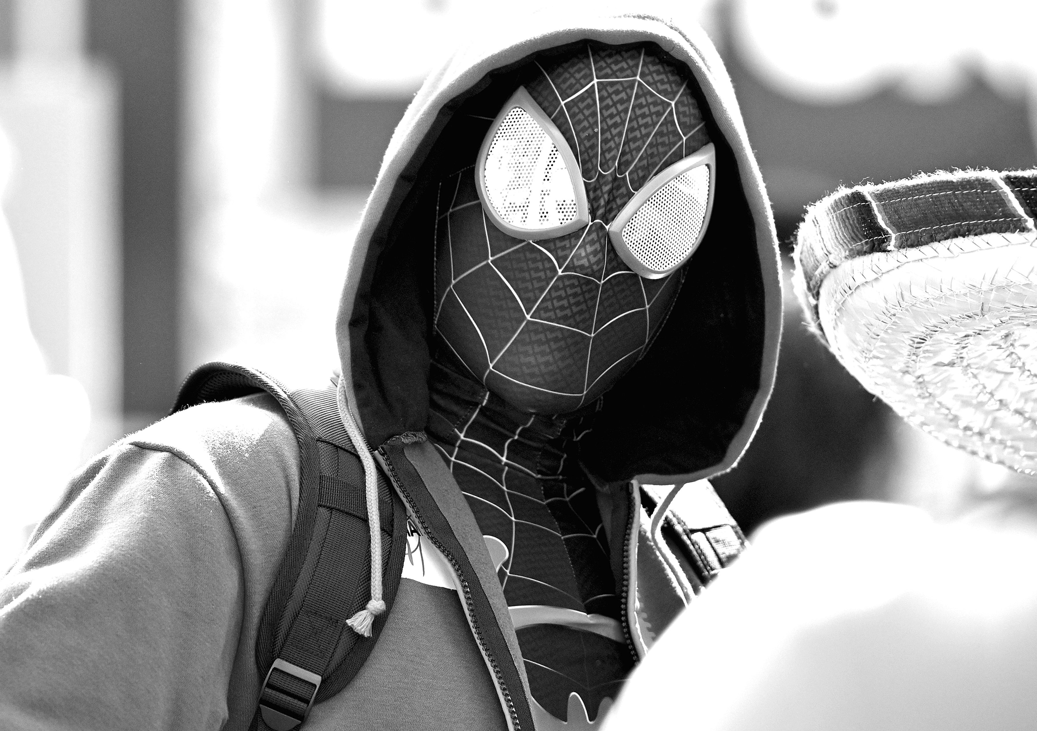 Miles Morales Spider-man