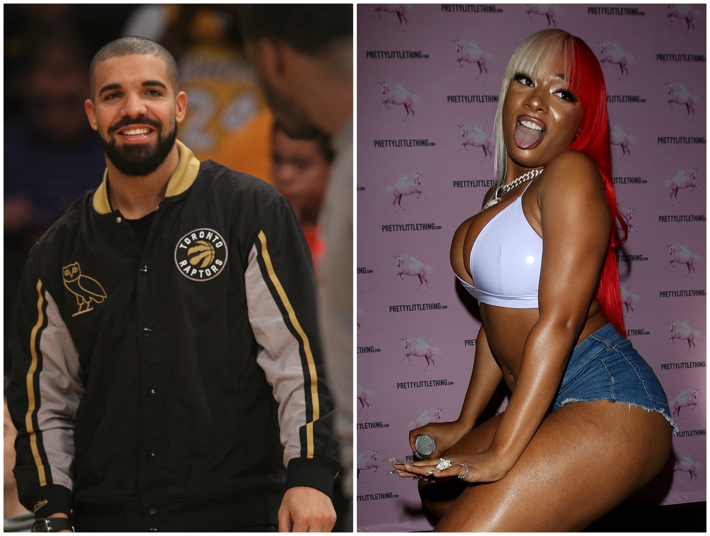 Drake and Megan The Stallion