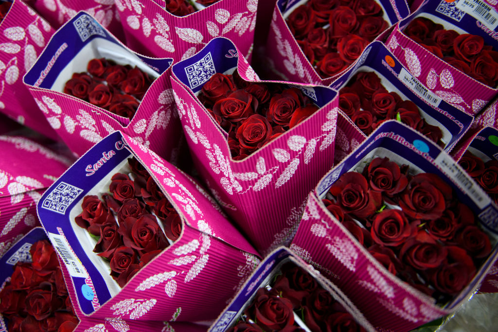 US-VIRUS-HEALTH-FLOWERS-VALENTINE-DAY