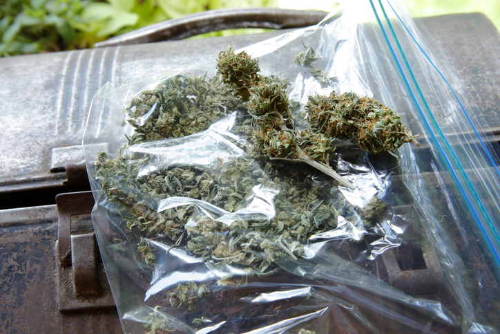 plastic bag of assortment of marijuana on lunch box