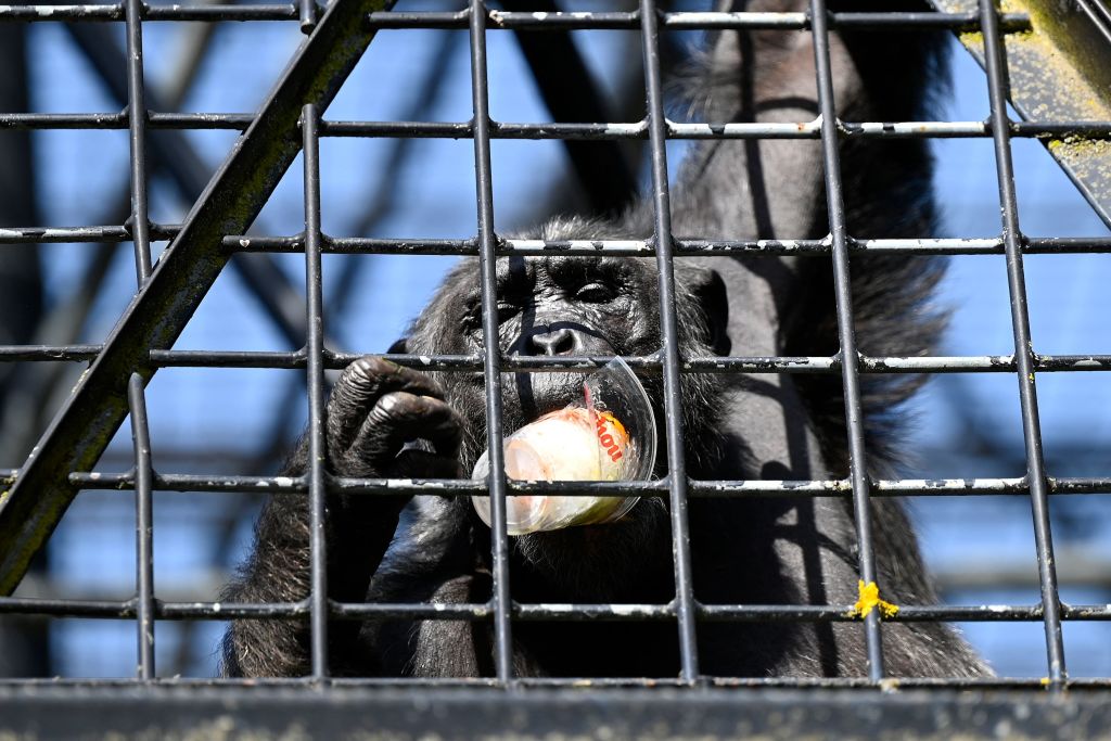 SPAIN-WEATHER-HEAT-ZOO