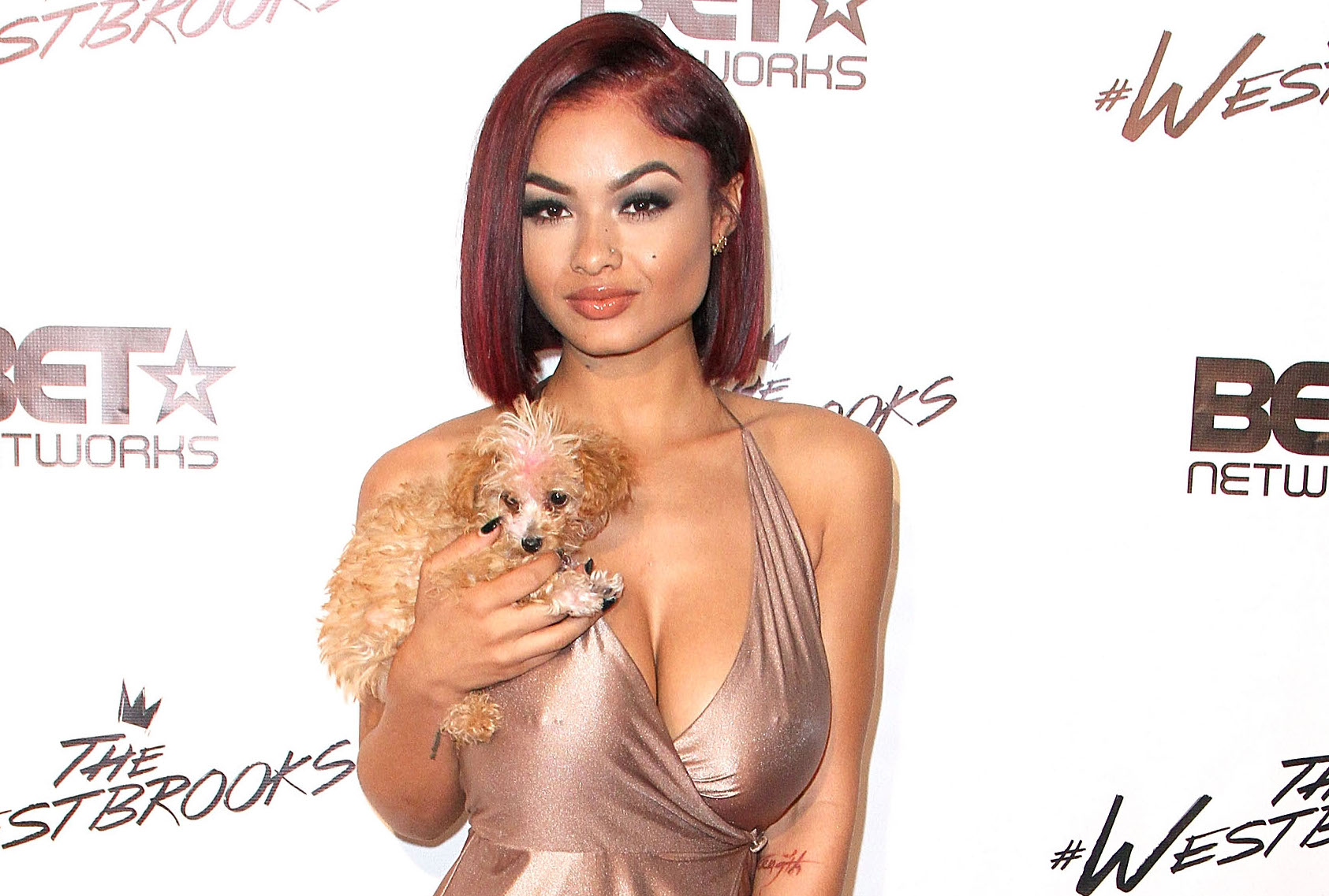 BET Networks' "The Westbrooks" Screening And Reception