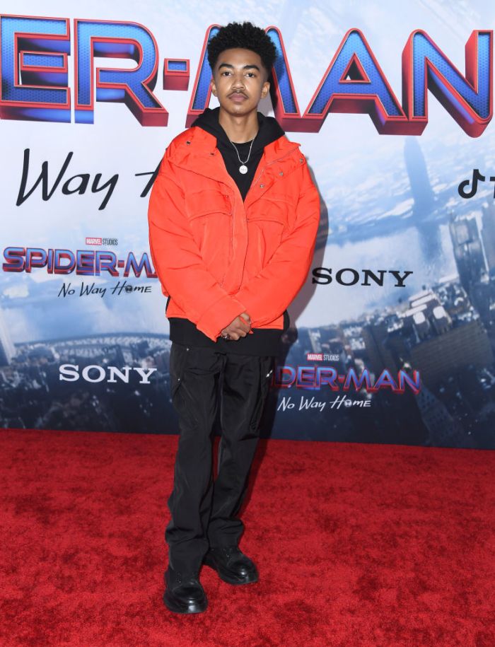 Sony Pictures' "Spider-Man: No Way Home" Los Angeles Premiere - Arrivals