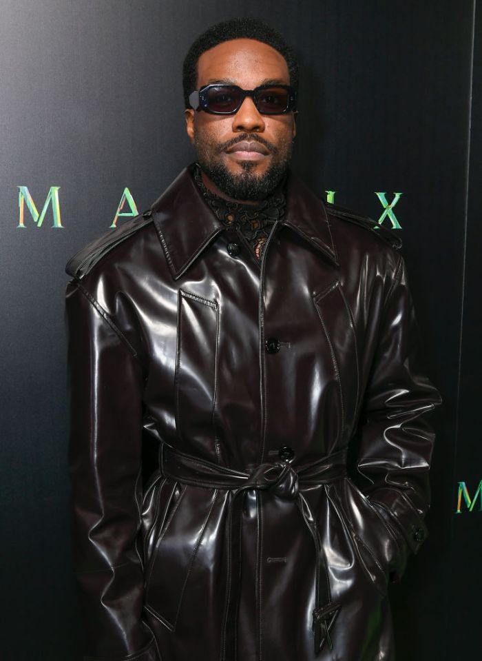 "The Matrix Resurrections" Red Carpet U.S. Premiere Screening - Red Carpet
