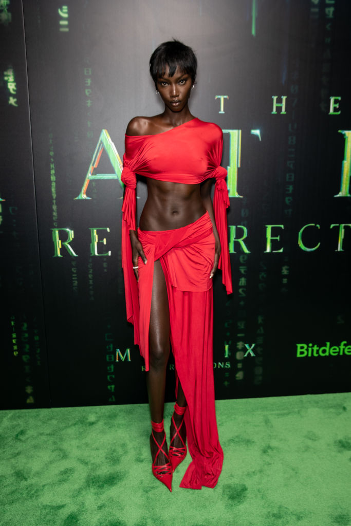 "The Matrix Resurrections" Red Carpet U.S. Premiere Screening - Arrivals
