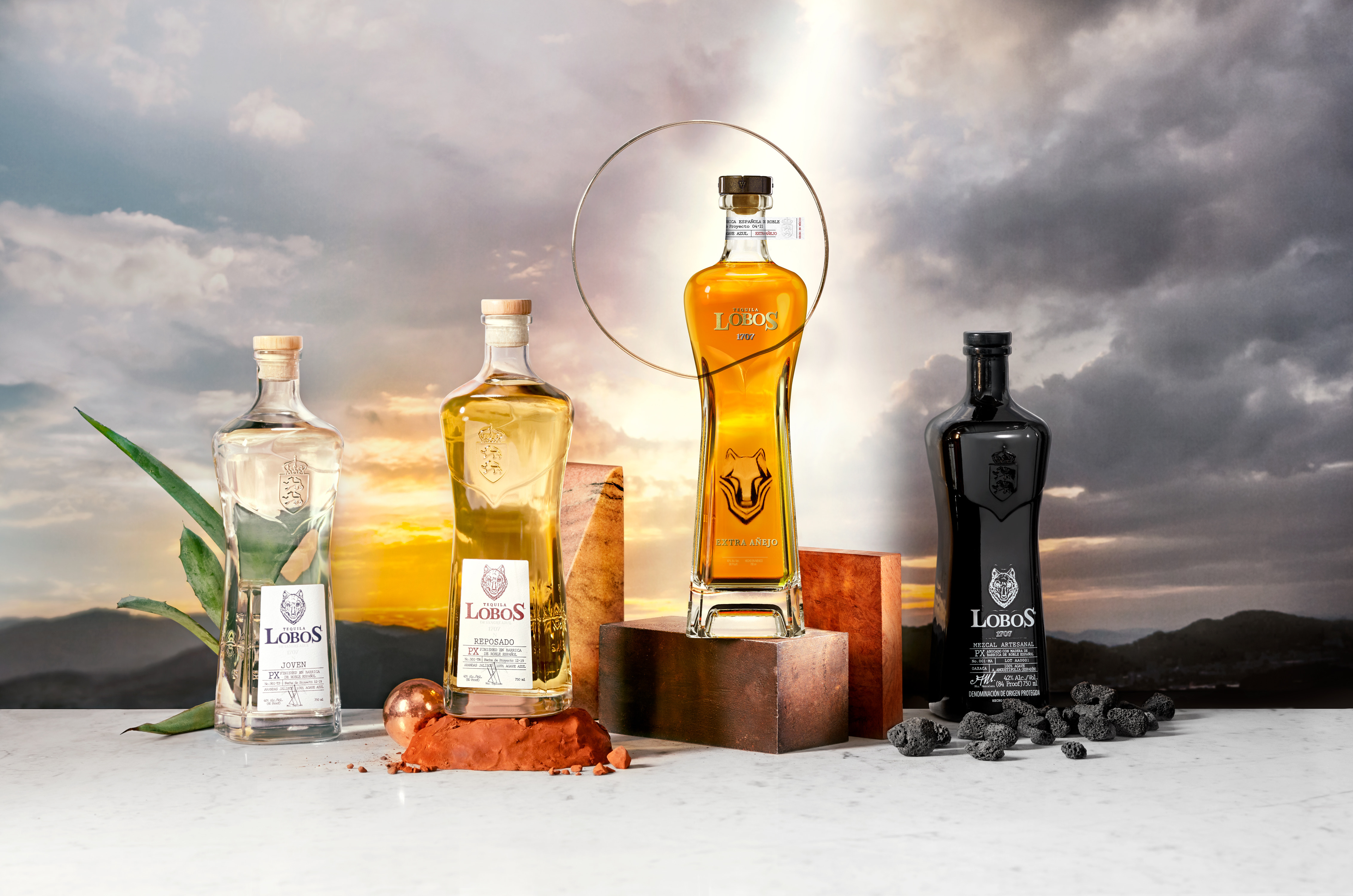 Drake and LeBron Lobos Gathering