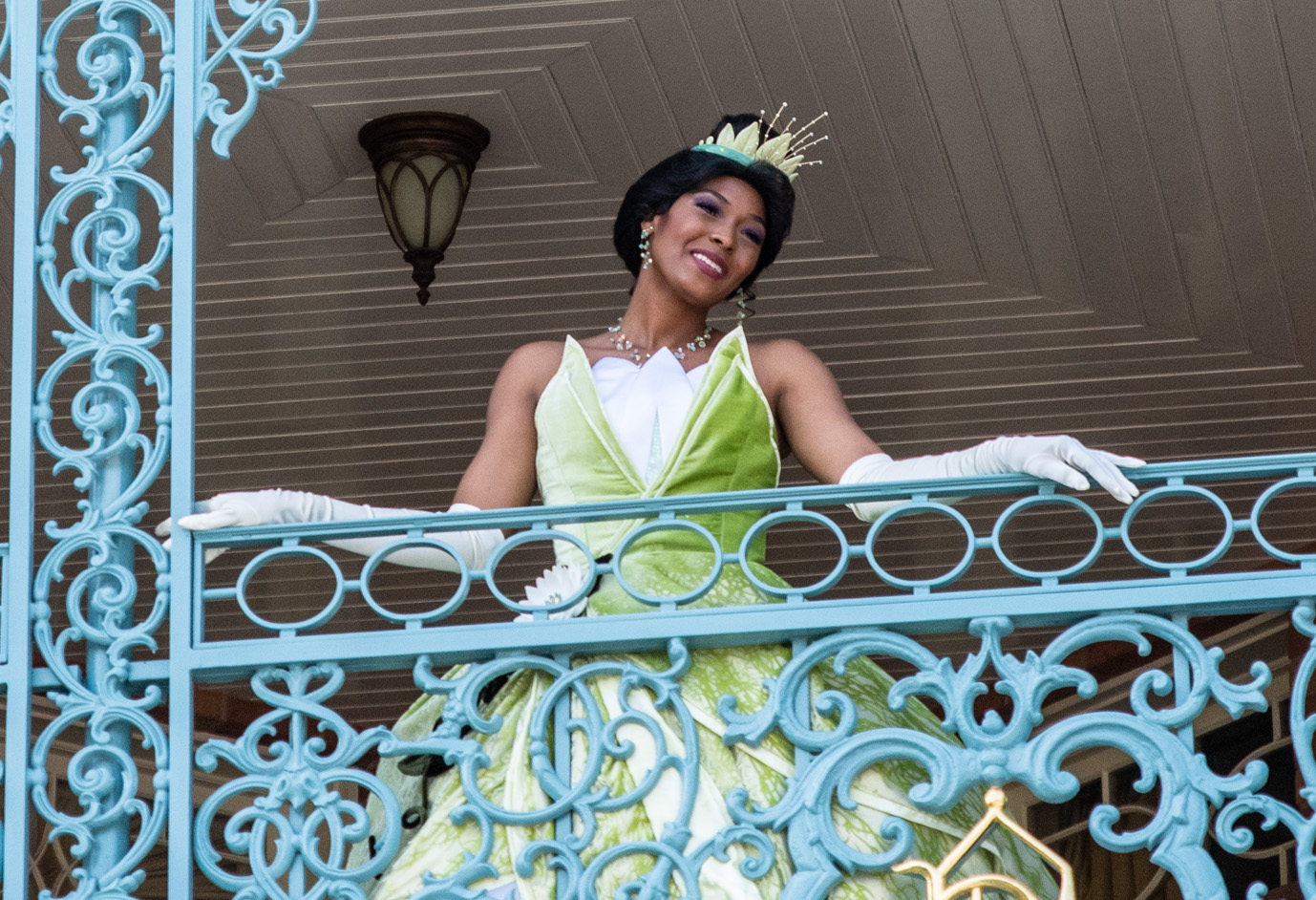 Tiana's Bayou Adventure assets